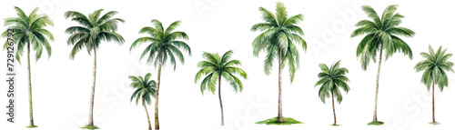 Set of watercolor coconut trees on transparent background. photo