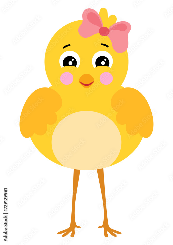 Cute yellow little chick isolated Cute yellow little chick isolated