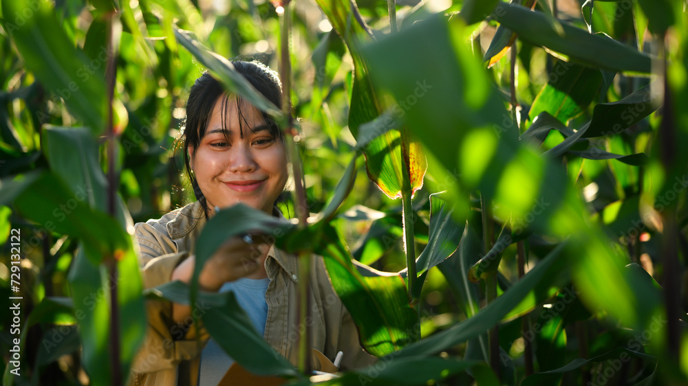 Smiling young female farmer touching the leaves of green corn on a sunny day Smiling young female farmer touching the leaves of green corn on a sunny day