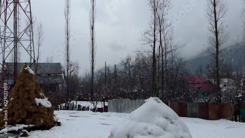 J&K Kupwara Winters autmn: Crisp dry trees whisper in autumn's farewell a beautiful landscape photo