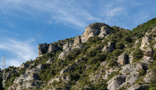 Typical vegetation, Iranzu river canyon, Navarra, Spain, Europe photo