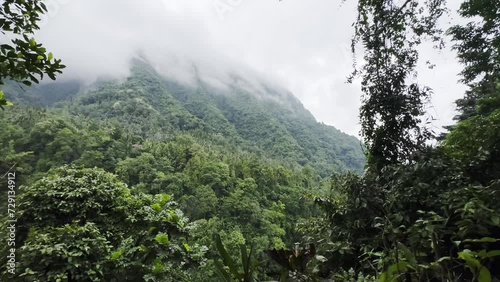 Foggy landscape tropical rain forest jungle island Bali on background majestic volcano Gunung Agung or Mount Agung, located in the district of Karangasem. 4K Aerial view photo