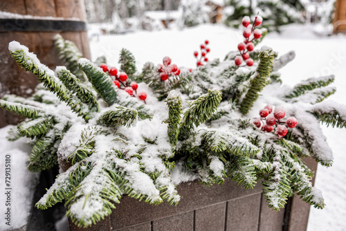 Sprigs of pine needles, fir trees,
 decorated with red berries in a wooden box close-up dusted with snow. New Year decorations, holiday, winter, season. Selective focus.