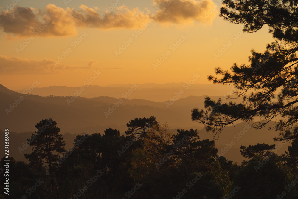 travel and people activity concept with large pine with layer of mountain and cloudy sky background