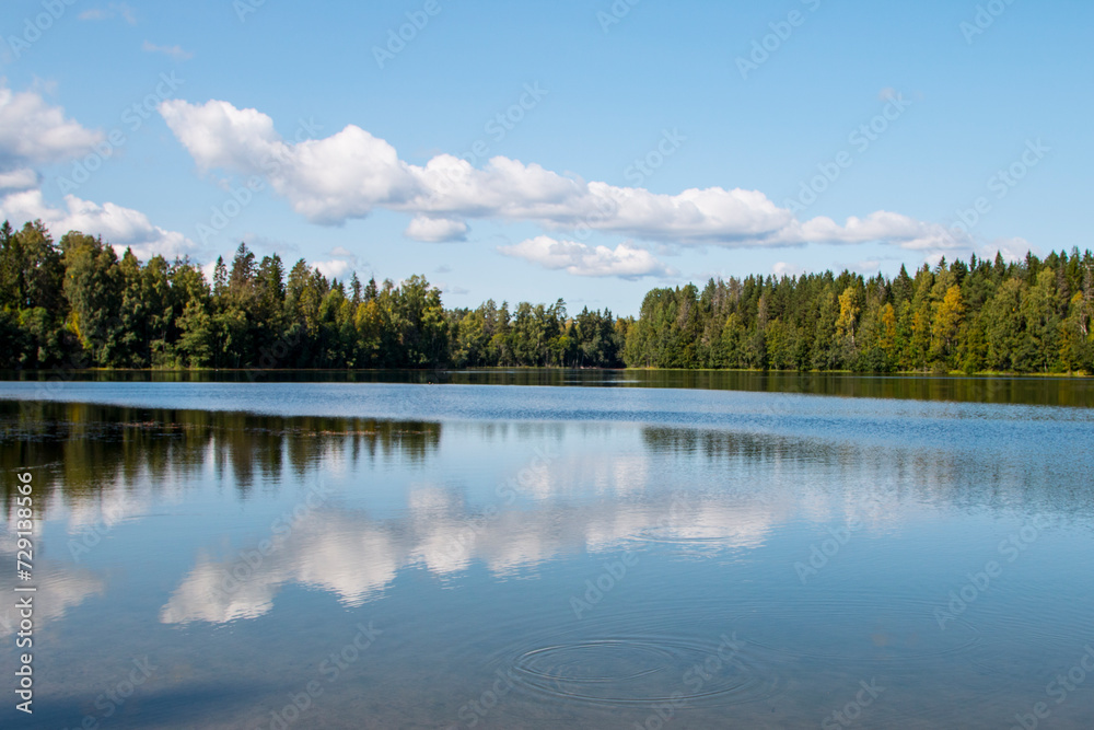 landscape reflection of trees on a lake with blue sky and clouds