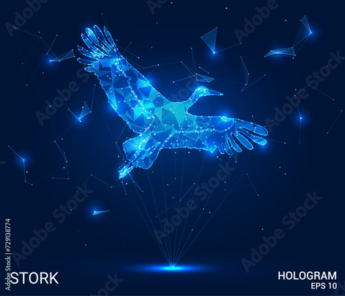 A hologram of a stork. The stork flies from polygons, triangles of dots and lines. Stork low-poly compound structure. Technology concept vector.
