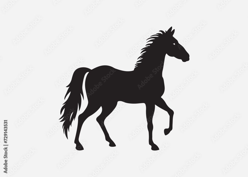 Horse silhouette isolated on white Horse silhouette isolated on white