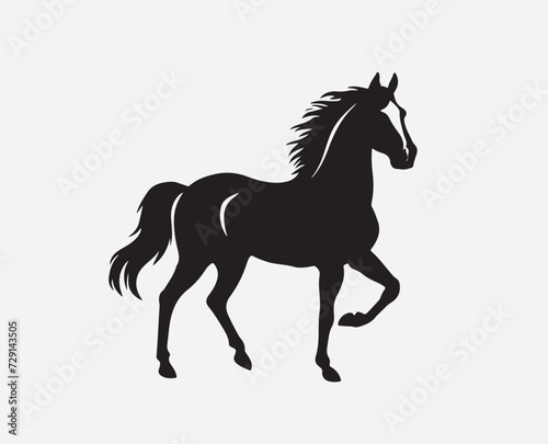 Horse silhouette isolated on white