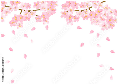 桜の花が美しい春の桜フレーム背景17