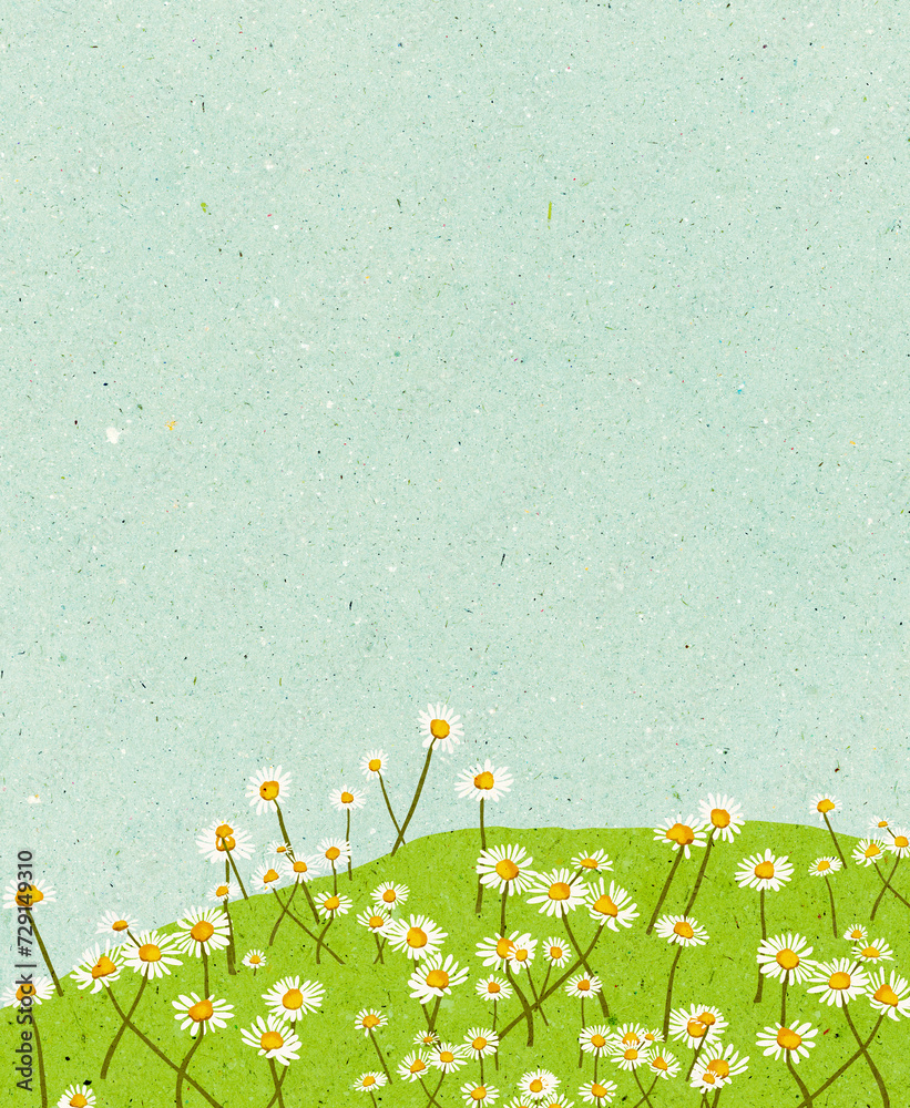 Ilustracja zielona łąka białe stokrotki niebo tekstura. - obrazy, fototapety, plakaty 