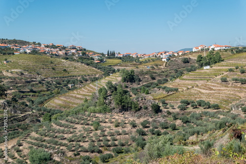 Entre vinhas e oliveiras: Uma pequena aldeia serena no alto da encosta em Trás os Montes, Portugal photo
