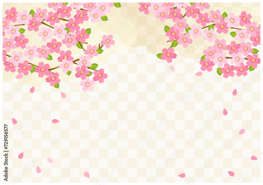 桜が美しい春の和風フレーム背景33金屏風