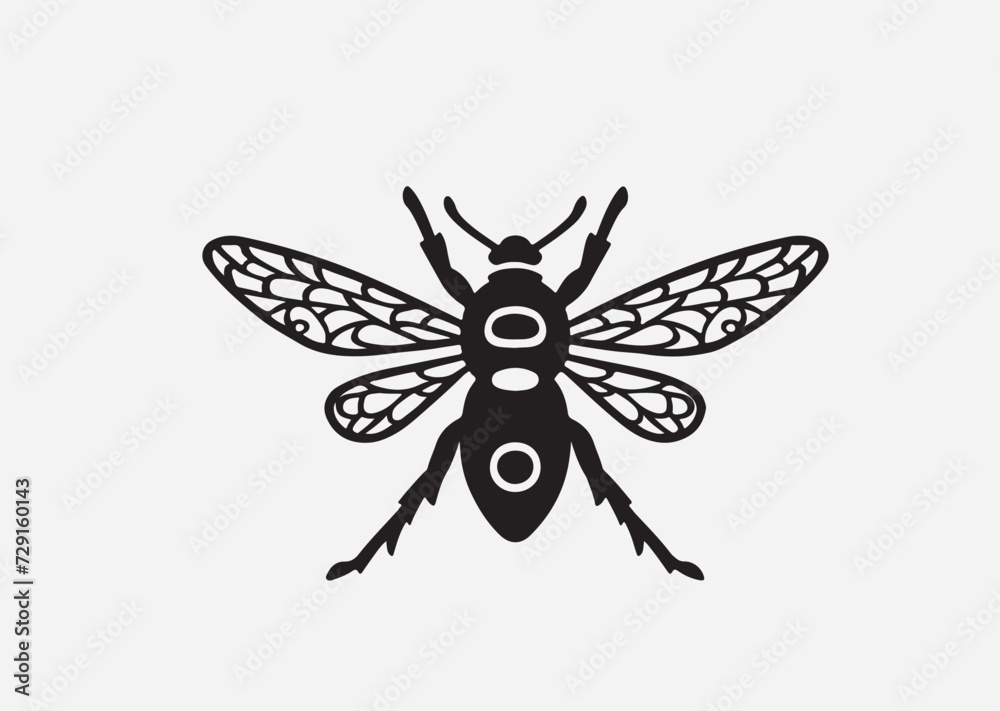 fly isolated on white