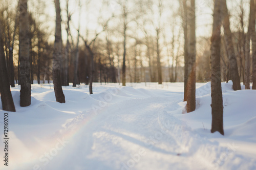 The path through the snowy forest leads to a bright future full of hope and new beginnings.