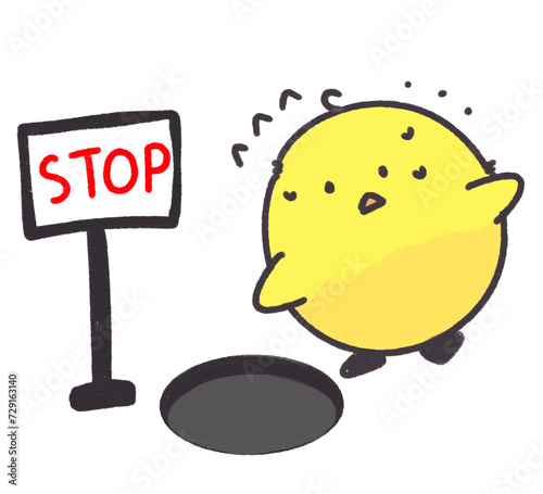 Yellow Chick

