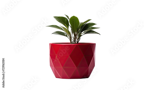 Ruby Red Plastic Planter on a White or Clear Surface PNG Transparent Background