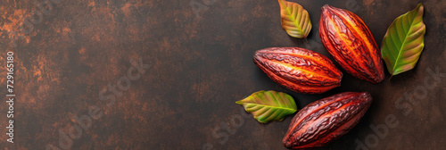 cacao fruit with copy space 