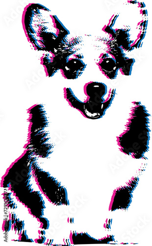 Corgi 3D photo