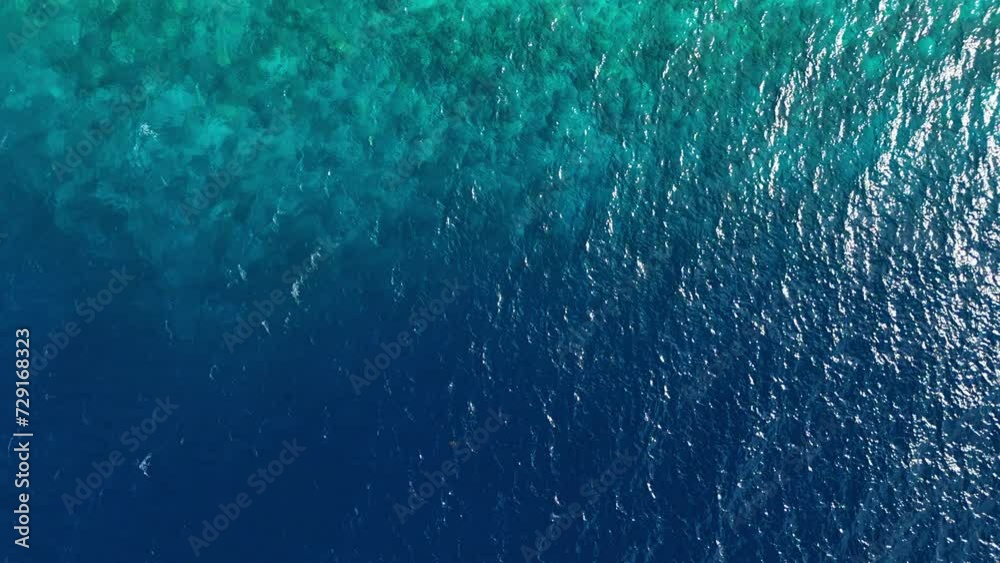 Aerial top down Brown booby and frigate birds soaring in the heavens off coast of Curacao Aerial top down Brown booby and frigate birds soaring in the heavens off coast of Curacao