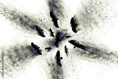 Flying birds of prey. Abstract art nature. Dispersion, splatter effect. White background.