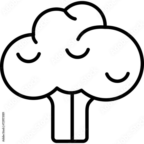 Broccoli Icon