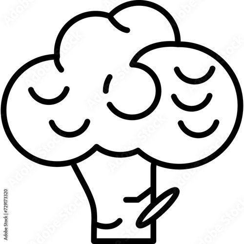 Broccoli Icon