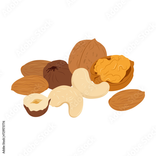 Still life nuts. Vector walnut, cashew, hazelnut, almond.