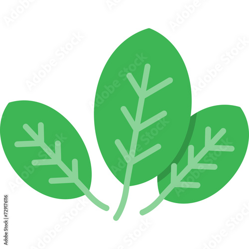 Basil Icon