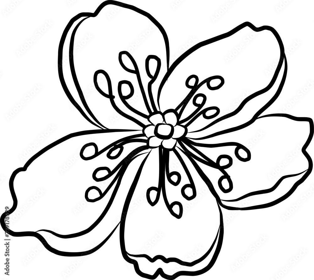 Free hand Sakura flower vector set, Beautiful line art Peach blossom isolate on white background.Cherry blossom illustration set.Element for weding card or printing on backdrop. Free hand Sakura flower vector set, Beautiful line art Peach blossom isolate on white background.Cherry blossom illustration set.Element for weding card or printing on backdrop.