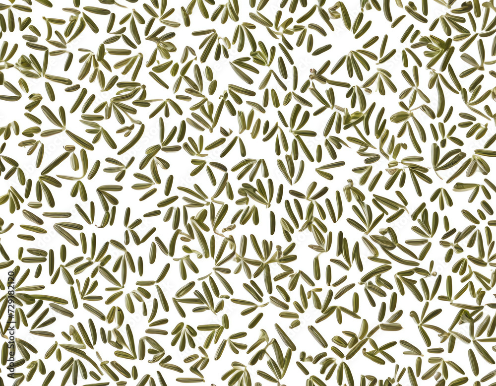 fennel seeds on white back ground