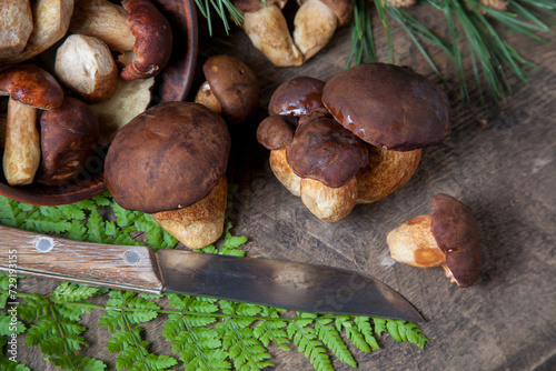 Imleria Badia or Boletus badius mushrooms commonly known as the bay bolete, clay bowl with mushrooms and knife on vintage wooden background..