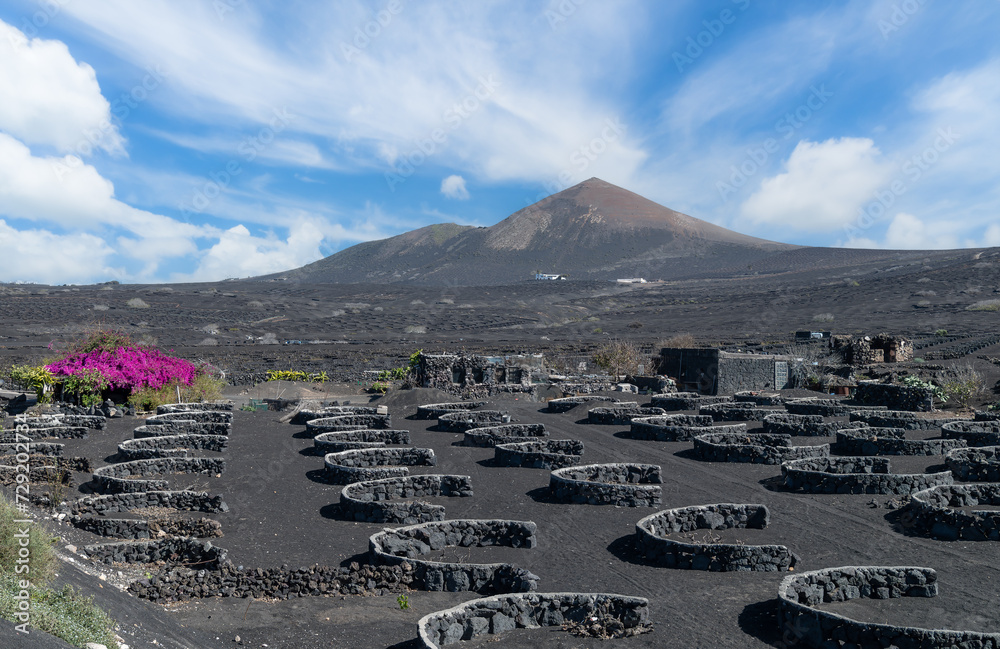 Explore the stunning La Geria vineyards of Lanzarote, a unique marriage of volcanic landscapes and viticulture, crafting world-renowned wines.