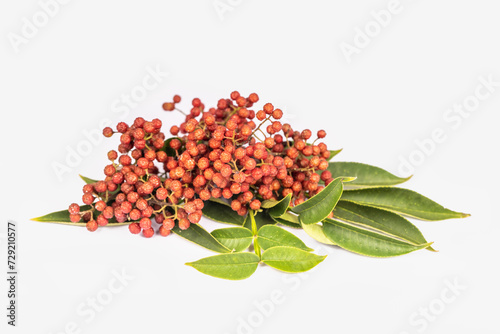 Chinese prickly ash fruits and leaves isolated