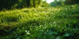 A picture of a grass field with water droplets on it. Perfect for nature enthusiasts or environmental campaigns