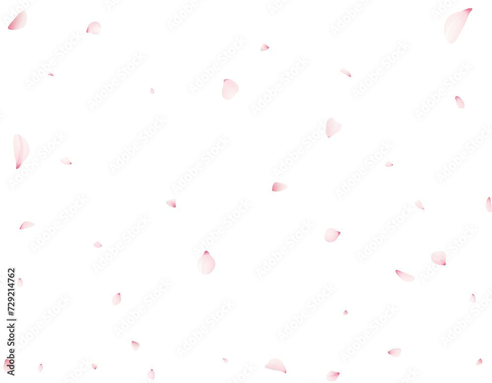 Sakura Flower Petals Sakura Flower Petals