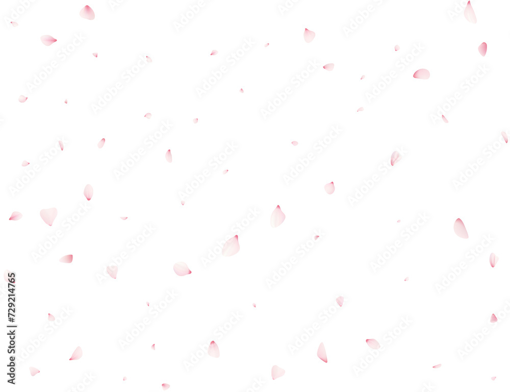 Sakura Flower Petals Sakura Flower Petals