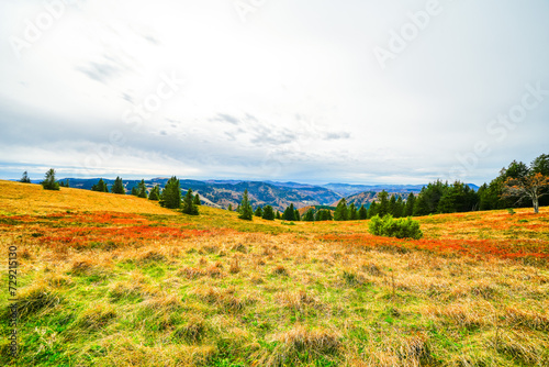 Landscape in autumn at Feldberg in the Black Forest. Feldbergsteig hiking trail. Nature in the Breisgau-Hochschwarzwald district in Baden-Württemberg.
 photo