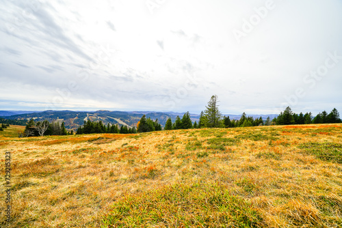 Landscape in autumn at Feldberg in the Black Forest. Feldbergsteig hiking trail. Nature in the Breisgau-Hochschwarzwald district in Baden-Württemberg.
 photo