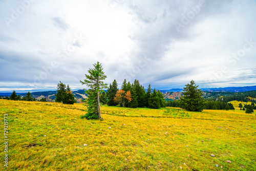 Landscape in autumn at Feldberg in the Black Forest. Feldbergsteig hiking trail. Nature in the Breisgau-Hochschwarzwald district in Baden-Württemberg.
 photo