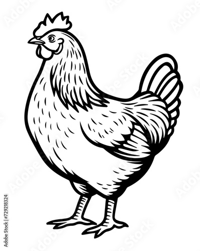 A line drawing black and white ink sketch of a plump chicken