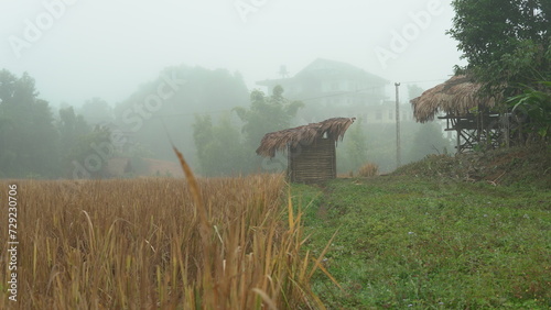 misty morning in the fields of Basar town in Arunachal Pradesh, India. photo