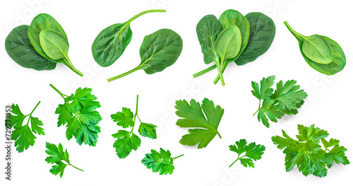 Fresh spinach leaves and Parsley herb isolated on white background. Espinach Set. Pattrn. Flat lay. Creative layout of Salad leaves. photo