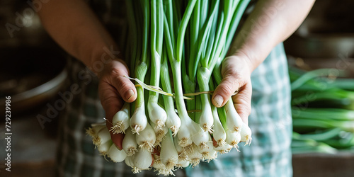 A man holds a bunch of fresh green onions. photo