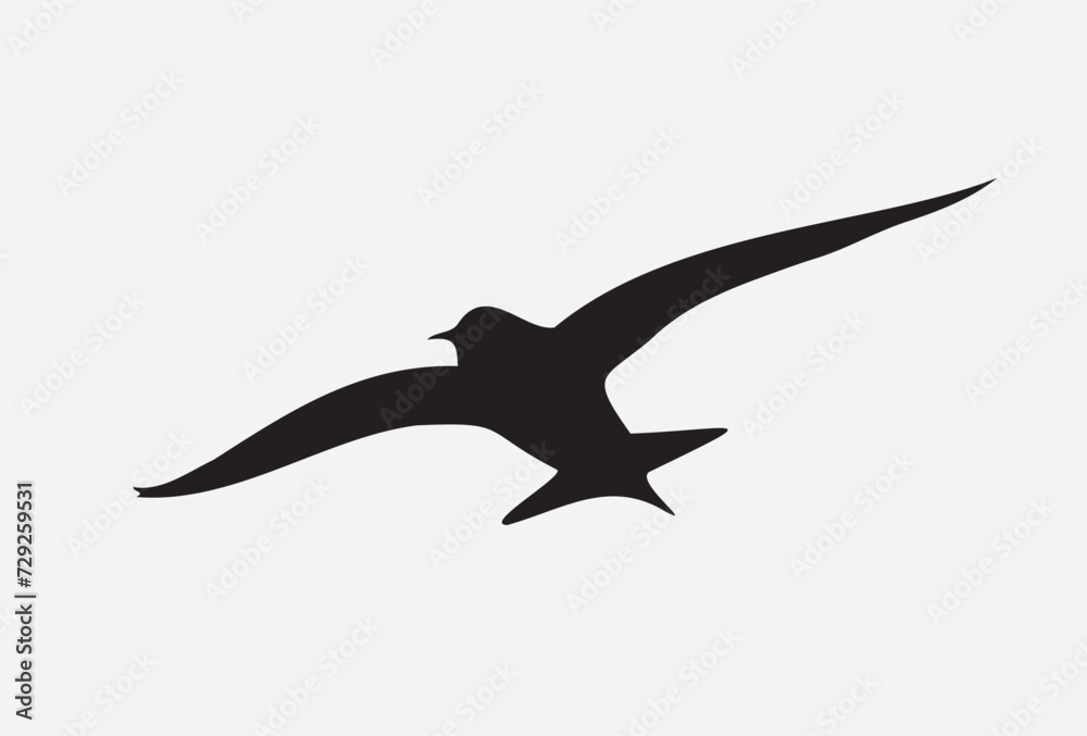 Silhouette bird isolated on white Silhouette bird isolated on white