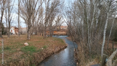 Panoramic view of a small river in the middle of the forest