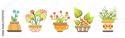 Flower and Houseplant Growing in Pot Vector Set