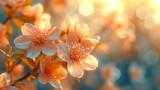Background with blossoming trees and sun flare. Sunny day. Spring flowers. Beautiful orchard. Abstract blurred background. Springtime.
