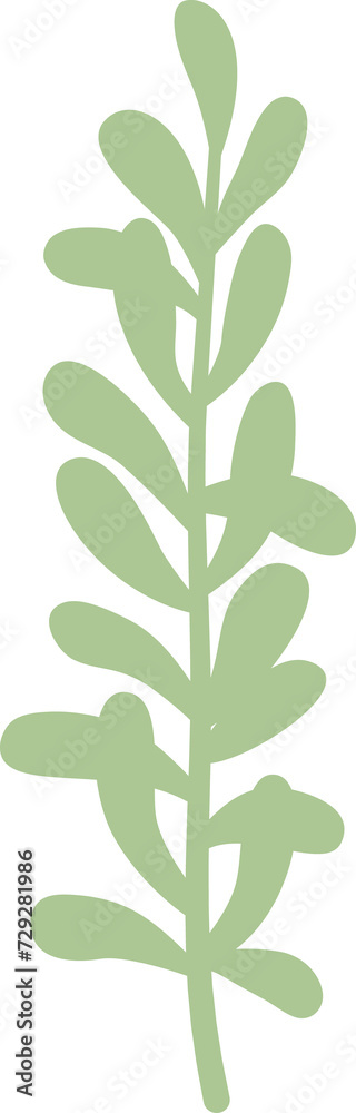 leaves. Hand drawn decorative elements leaves. Hand drawn decorative elements