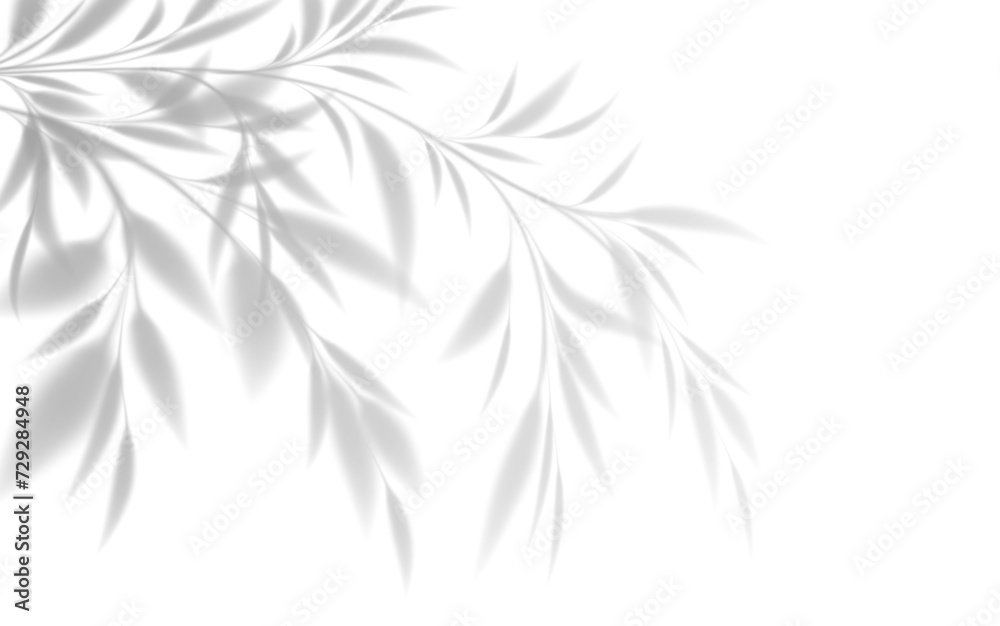 Realistic transparent shadow of a bamboo branch with leaves isolated on a transparent background. Vector illustration