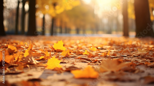 Dry autumn falling leaves